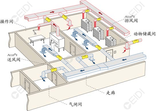 動物房潔凈室空調設計：開放式籠架具屏障環(huán)境送回風設計要點  CEIDI西遞