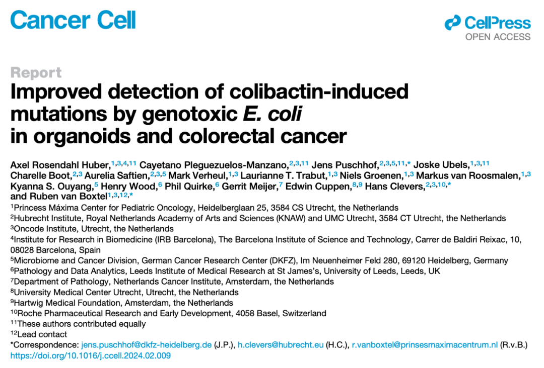 類器官之父發(fā)表Cancer Cell論文：揭示大腸桿菌的基因毒性作用